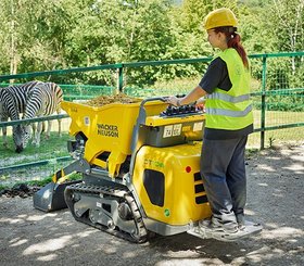 Mini tombereau Wacker Neuson DT10e - 8